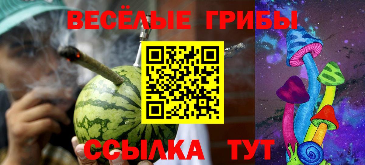 Галлюциногенные грибы MAGIC MUSHROOMS  Вход с VPN  Галлюциногенные грибы MAGIC MUSHROOMS  Каменск-Уральский 