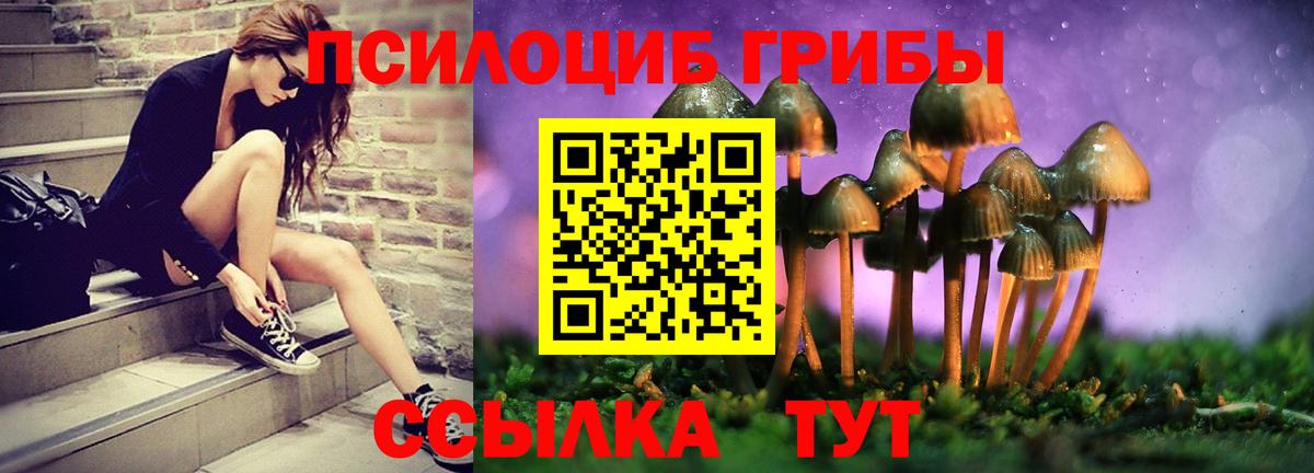 Галлюциногенные грибы MAGIC MUSHROOMS Каменск-Уральский