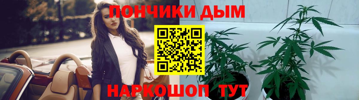 Каменск-Уральский  Каннабис планчик  Шишки марихуана Amnesia  Вход с VPN  Каннабис план  Марихуана планчик 